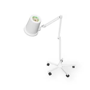 Вытяжка Alize напольная